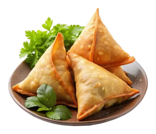 Indian Food Point & Fast Food